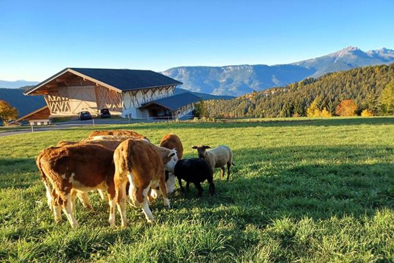 Haughof Apartement Laerchenweide Verano Buitenkant foto